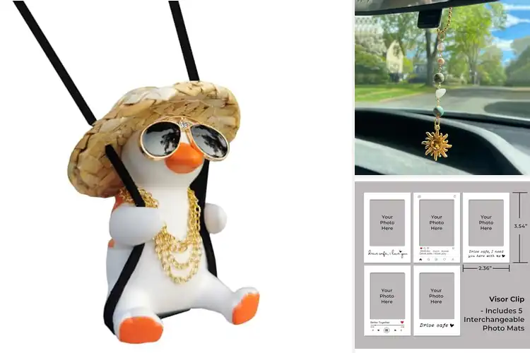 Detailed view of Best Car Decor Gifts