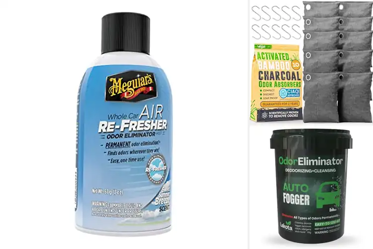 Detailed view of Best Car Odor Eliminators