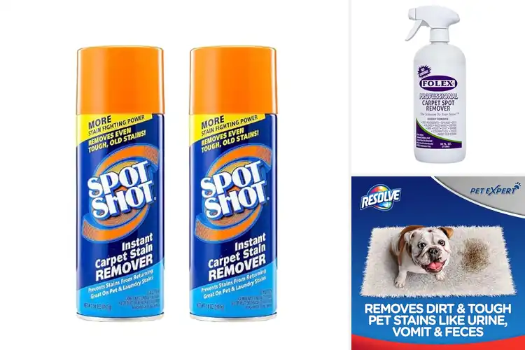Detailed view of Best Carpet Spot Removers: Top Picks for Spotless Carpets