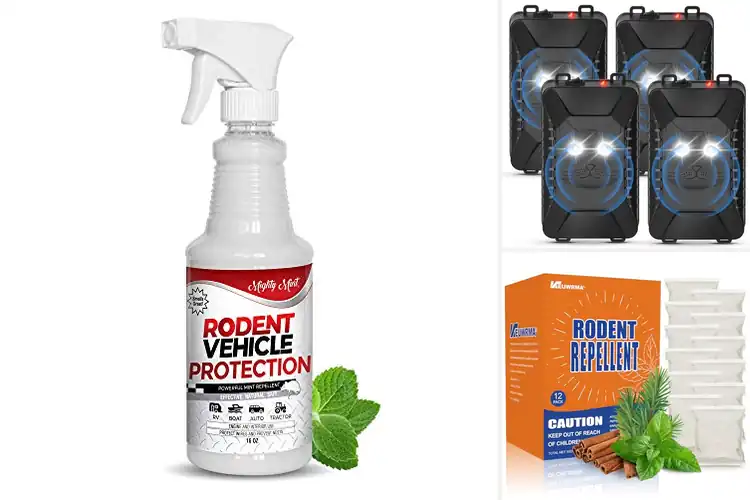 Detailed view of Best Eco Friendly Non Poison Deterrent For Cars