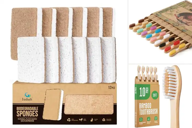 Detailed view of Best Eco-Friendly Products