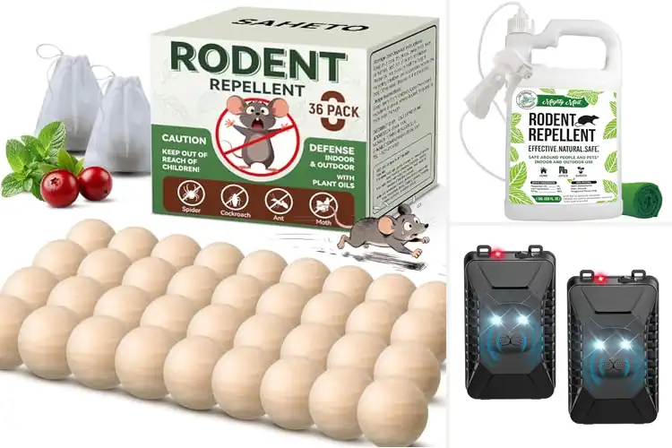 Detailed view of Best Garage Rodent Repellents: Top 10 Natural Solutions