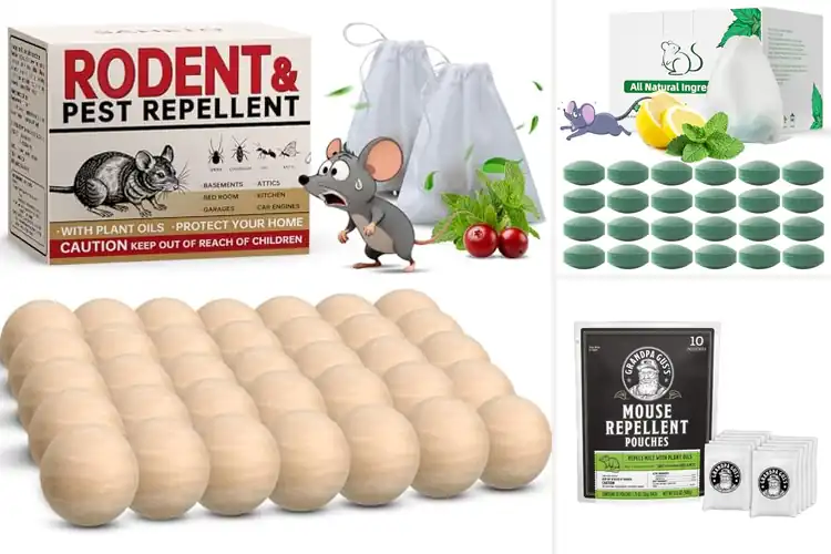 Detailed view of Best Humane Mouse Deterrents