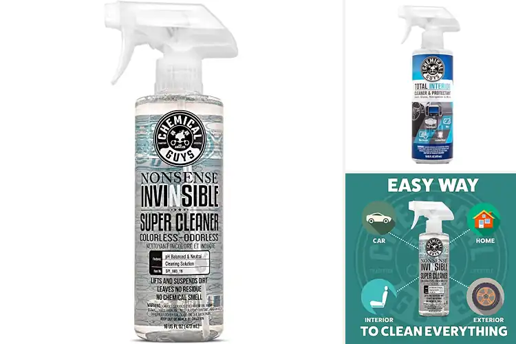 Detailed view of Best Odorless Interior Cleaners