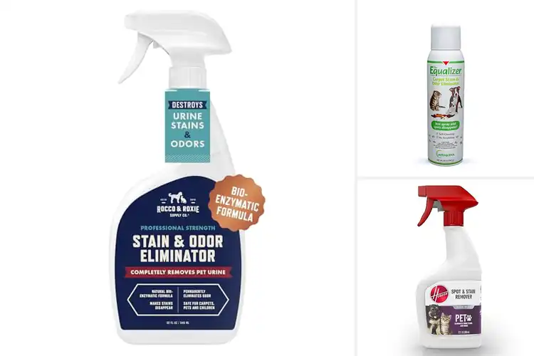 Detailed view of Best Odorless Spot Removers for Pet Stains