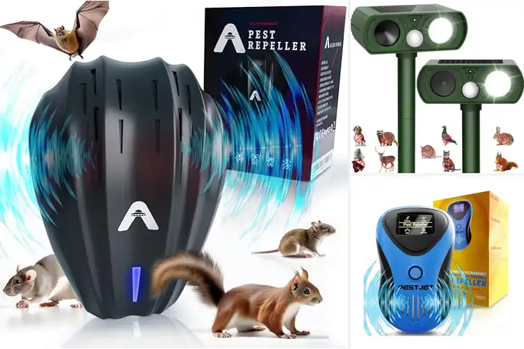 Detailed view of Best Outdoor Pest Devices