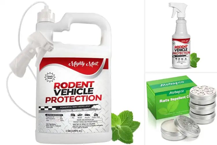 Detailed view of Best Rodent Repellents For Cars