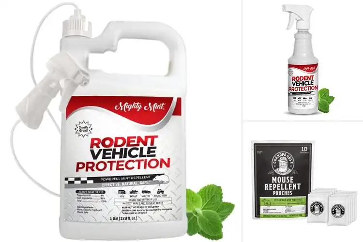 Detailed view of Best Rodent Repellents for Vehicles