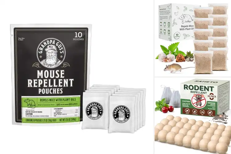 Detailed view of Best Travel Rodent Repellents
