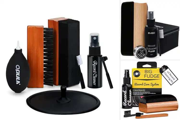 Detailed view of 10 Best Vinyl Cleaners for Pristine Sound